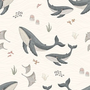 Whales and Manta fishes