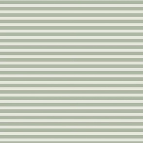 5mm stripes in sage green