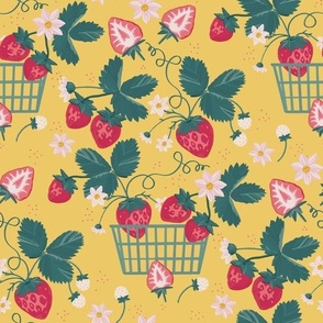 Basket Of Berries