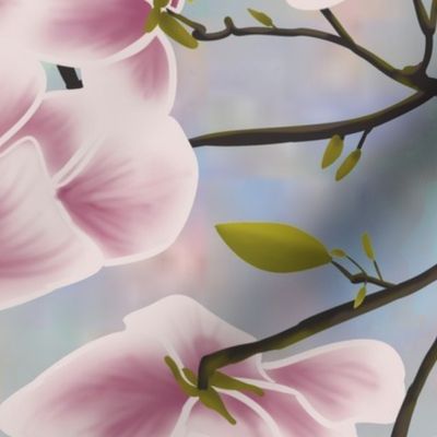 Magnolia tree _ opal skys