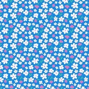 Ditsy Daisies on Blue - Small