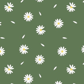 Daisy petals