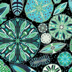 Microscopic Diatoms, blue green & black, 24 inch