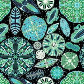 Diatoms bluegreens and black, 18 inch