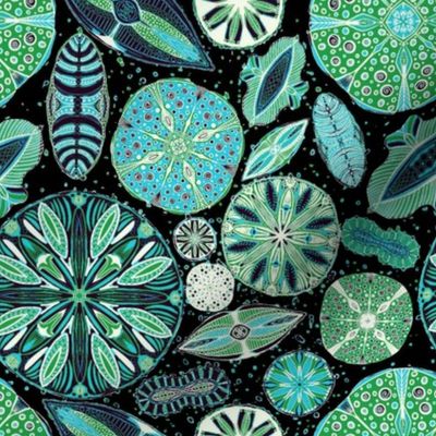 Microscopic Diatoms, blue green & black, 8 inch