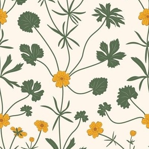 Medium Summery Yellow Buttercup Fields with Seashell White Background