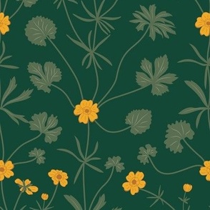 Medium Summery Yellow Buttercup Fields with Forest Green Background