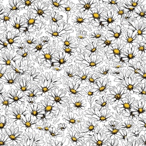 chamomiles, daisy field