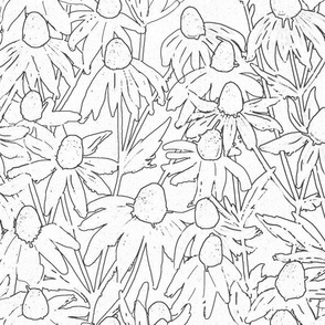 Hand-drawn black and white daisies field light textured