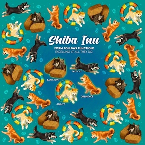 Shiba Inu - 'Form Follows Funtion!' Dog Sports Edition