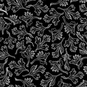 Floral Leaves Line Drawings, White on Black