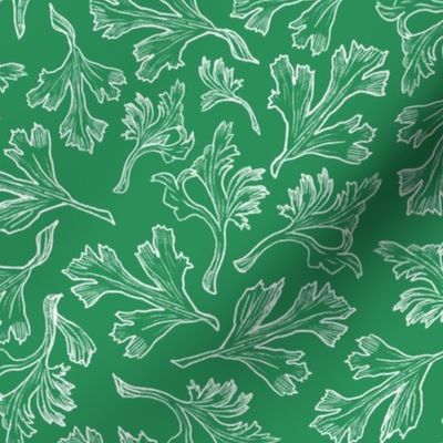 Floral Leaves Line Drawings on Green Bean