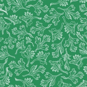 Floral Leaves Line Drawings on Green Bean