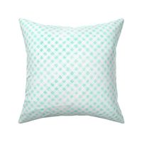 Poppy Patch  Teal & White Gingham