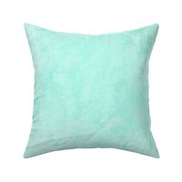 Poppy Patch Texture Turquoise
