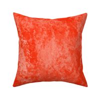 Poppy Patch Texture Red