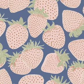 Des Fraises in Denim