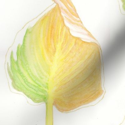 Watercolor Hosta Leaf