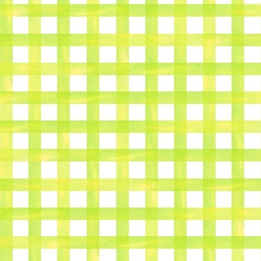 watercolor gingham plaid in lime