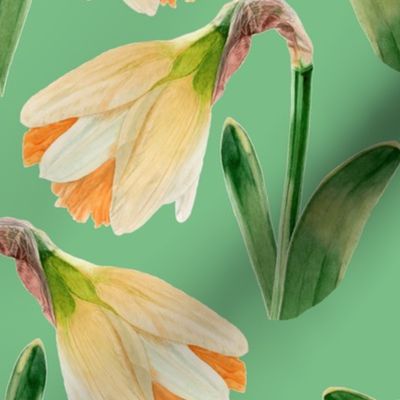 Watercolor Daffodils | Lime Green | Medium Scale