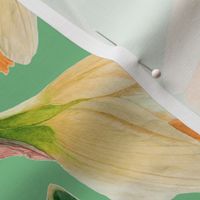 Watercolor Daffodils | Lime Green | Medium Scale