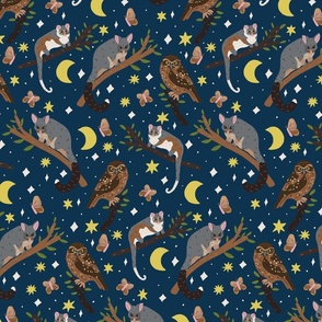 Sweet Dreams Possums stars