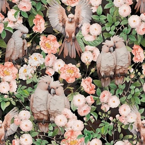 Exotic Jungle Beauty:  A Vintage Mysterious Botanical Pattern Featuring Redouté Roses and peach colorful Cockatoo birds on a black background 