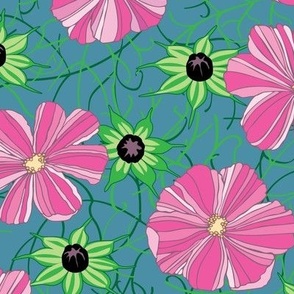 Cosmos flowers and buds, dark pink on teal - Large scale