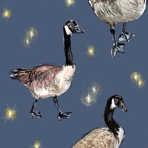 Sweet dreams (are made of geese)