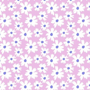 sunshine garden-daisy pink purple