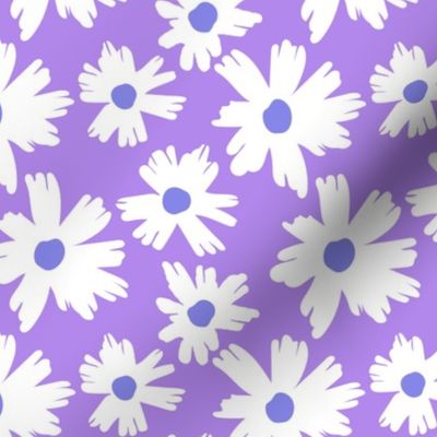 sunshine garden-daisy purple blue
