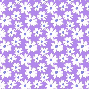 sunshine garden-daisy purple blue