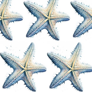 Coastal  Summer Pattern With Starfish In Blue White