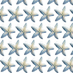 Coastal  Summer Pattern With Starfish In Blue White Smaller Scale