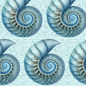 Coastal  Nautilus Shell Summer Pattern With In Blue White