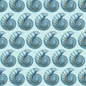 Coastal  Nautilus Shell Summer Pattern With In Blue White Smaller Scale