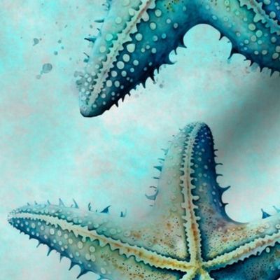 Coastal  Starfish Summer Pattern With Starfish In Turquoise