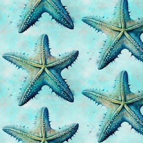 Coastal  Starfish Summer Pattern With Starfish In Turquoise