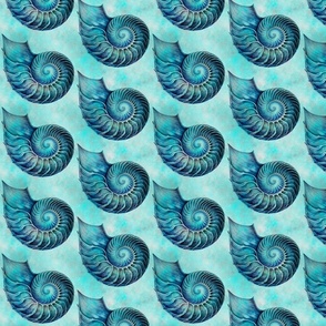 Coastal  Nautilus Shell Summer Pattern With In Turquoise Smaller Scale