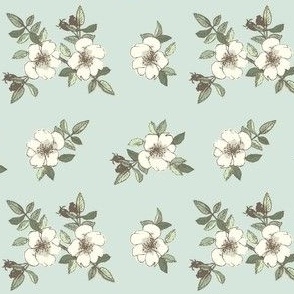  scattered blossom in eggshell and honey on mint background 