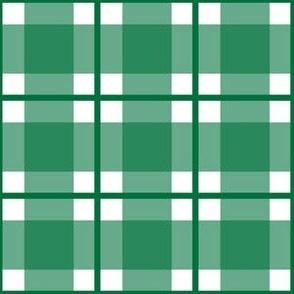 Medium scale deep green plaid - deep green gingham with narrow darker stripe - 6 inch repeat