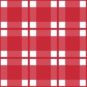 Medium scale red plaid - red gingham check with narrow darker stripe - 6 inch repeat