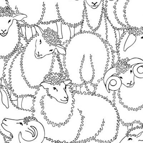 Sheep Sweet Dreams Bedding