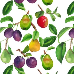 Plums and Pears Large