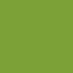 Hydrangea Leaf Green Color Swatch 