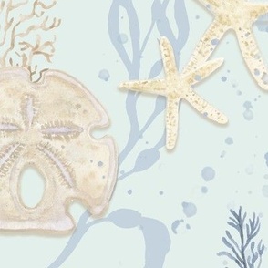 24" Seashell Serenity - Beach Coastal Shells Coral Starfish Watercolor Aqua