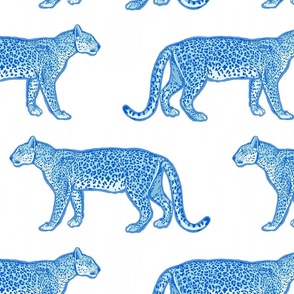 Leopard_Blue Aqua_Index