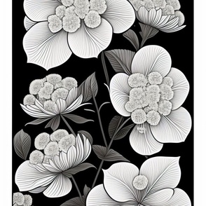 ###Black and white coloring book###