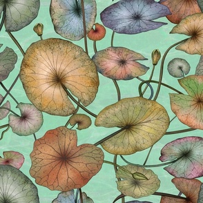 Lotus Leaves (Turquoise)