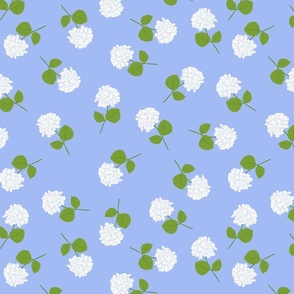 White Cut Hydrangeas with Blue Background 